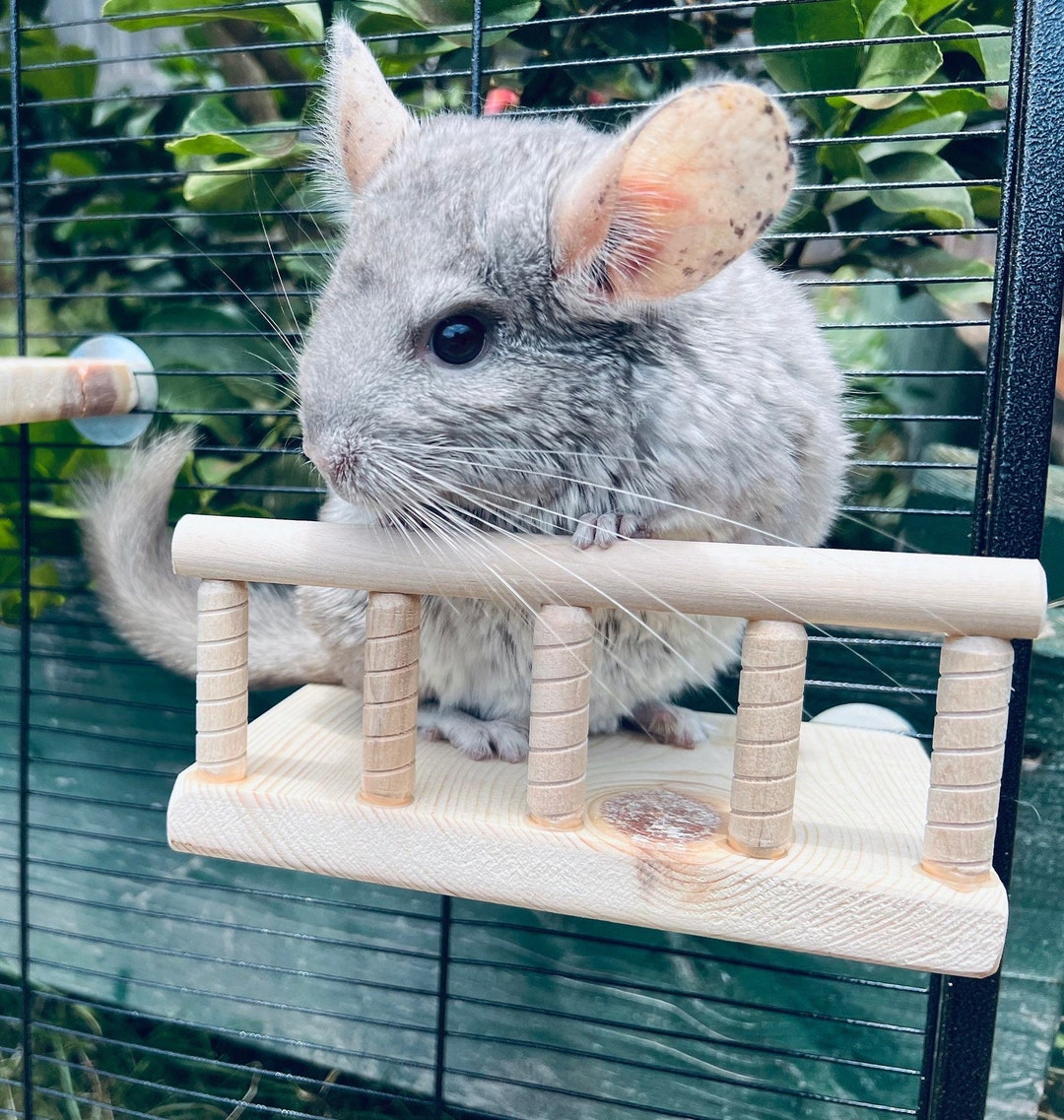 Kiln Dried Pine Ledge With Rail for Chinchillas, Sugar Gliders, Rats