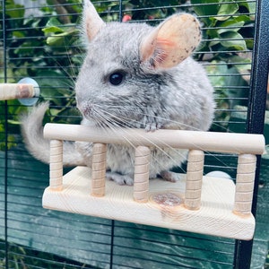 Kiln Dried Pine Ledge with Rail for Chinchillas, Sugar Gliders, Rats, Degu etc