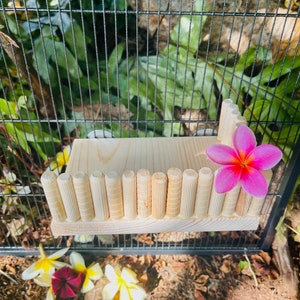 Sneaky Tiki Ledges with Railings for Chinchillas, Rats, Degu, Sugar Gliders, Birds and other Critters