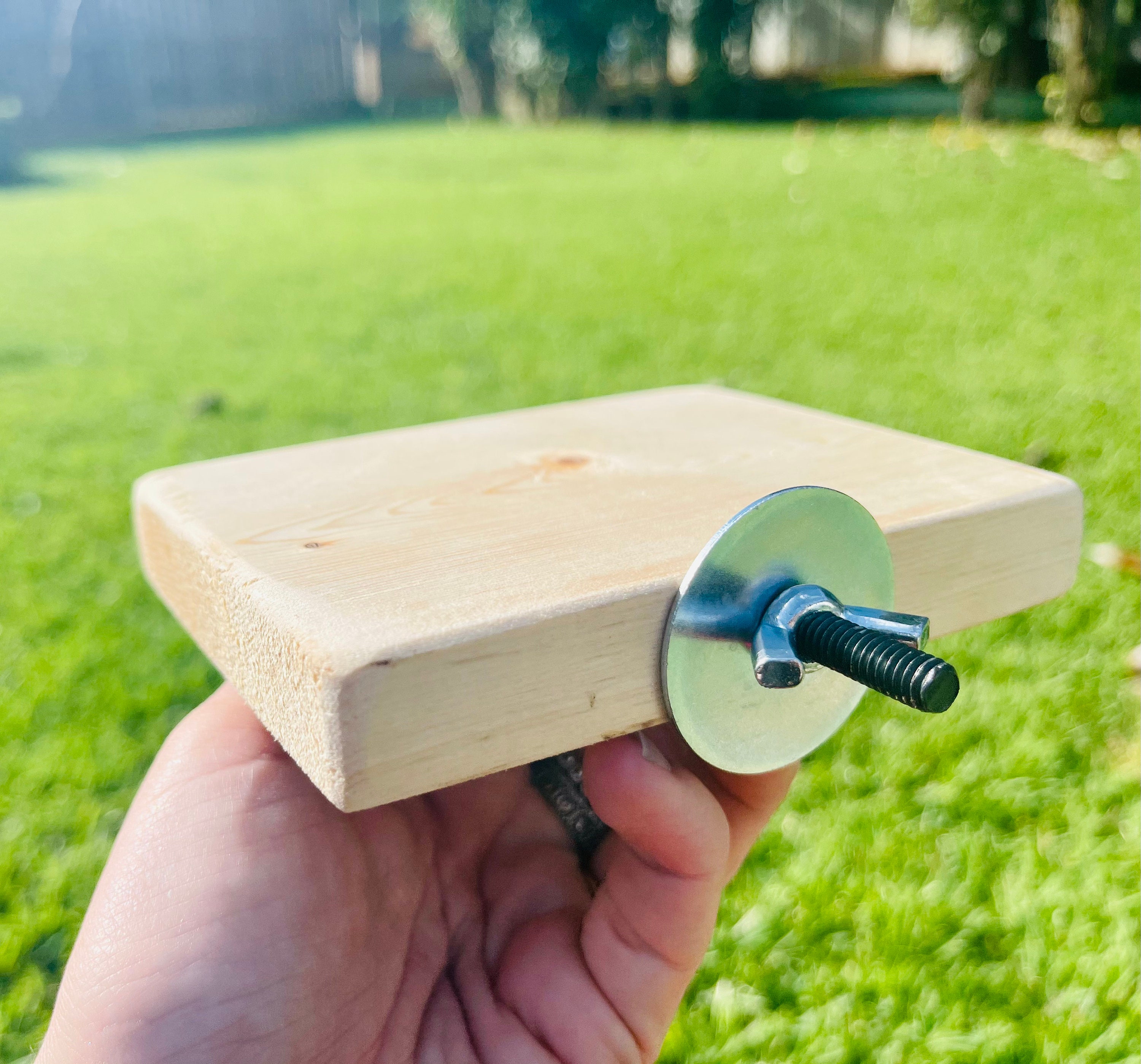 Kiln Dried Pine Ledges for Chinchillas and Other Critters Etsy