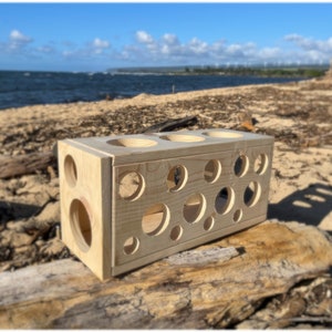 May include: A wooden box with a variety of round holes cut out of the sides. The box is sitting on a piece of driftwood on a sandy beach.