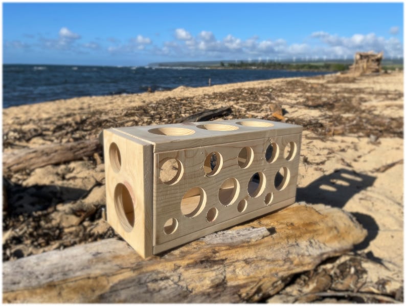 May include: A wooden box with a variety of round holes cut out of the sides. The box is sitting on a piece of driftwood on a sandy beach.