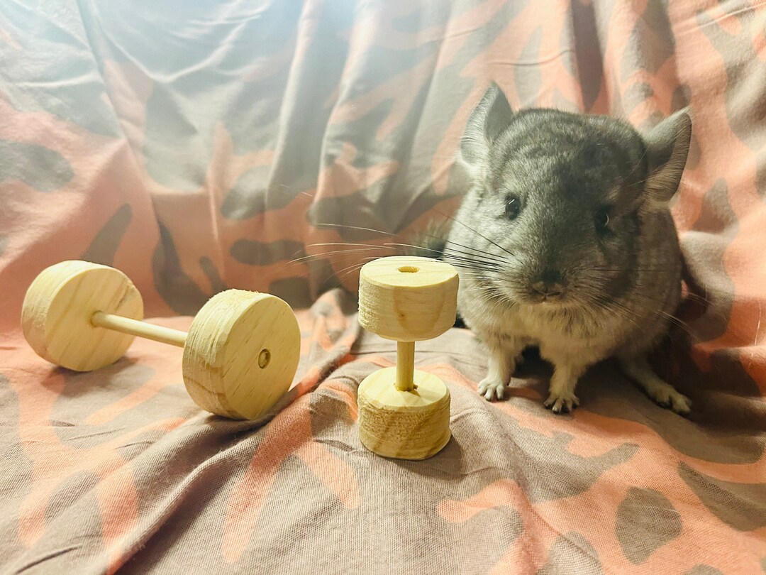 Set of 2 Kiln Dried Pine Dumbbell Chew Toys for Chinchillas, Rats