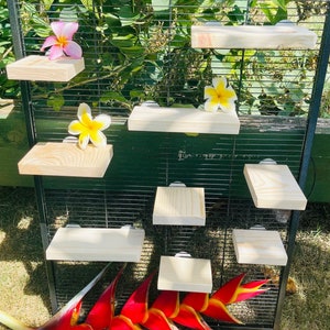 In de oven gedroogde grenen richels voor chinchilla's en kleine dieren, set van 10-25