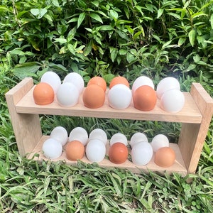 Two Dozen Count Egg Holder Shelf/Tray