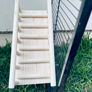 Pine Ramp Pine Ramp With Rails for Guinea Pigs, Chinchillas, Rats & Small Animals ...