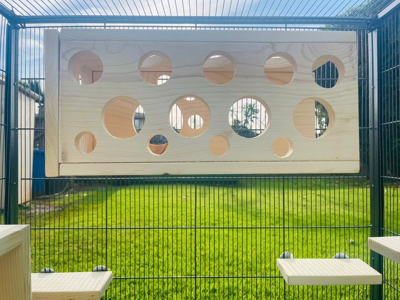 May include: A wooden play structure for small animals, featuring a panel with multiple circular openings of varying sizes. The panel is mounted inside a black wire cage.
