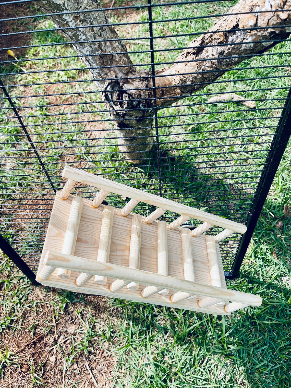 Pine Ramp Pine Ramp With Rails for Guinea Pigs, Chinchillas, Rats & Small Animals ...