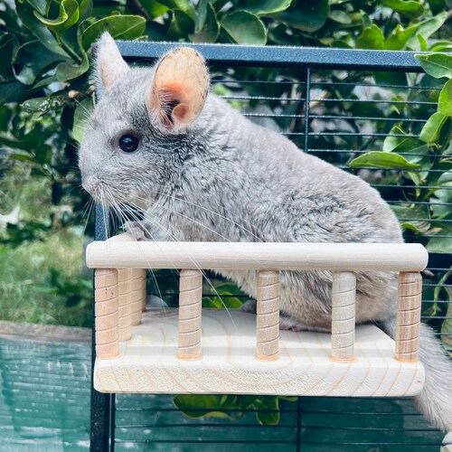 Kiln Dried Pine Pet Stair Set for Chinchillas Rats Sugar Etsy