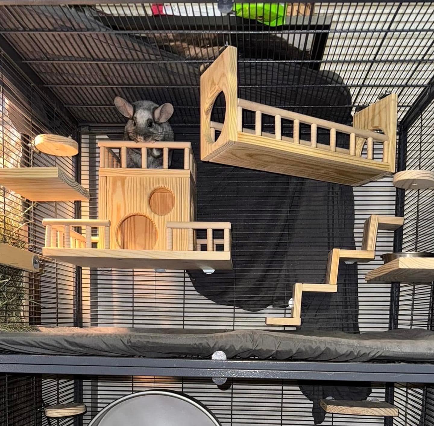 CrazyCritter Beach House, Stairs and Rail Bridge made of Kiln Dried Pine for Chinchillas, Rats, Birds, Degu, Squirrels etc