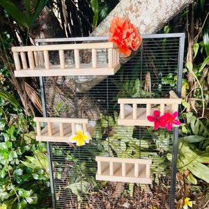 The Royal Treatment Rail Ledge Set for Chinchillas, Gliders, Birds, Rats, Degu etc