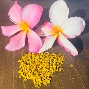 Hawaiian All Natural Raw Honey Bee Pollen Granules, Chinchilla and Animal Treats.