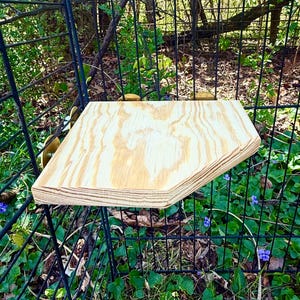 May include: A light-colored, wooden shelf with a unique, angled shape. The shelf is supported by a black metal cage structure, set outdoors amidst green foliage and small purple flowers. The wood grain is visible.