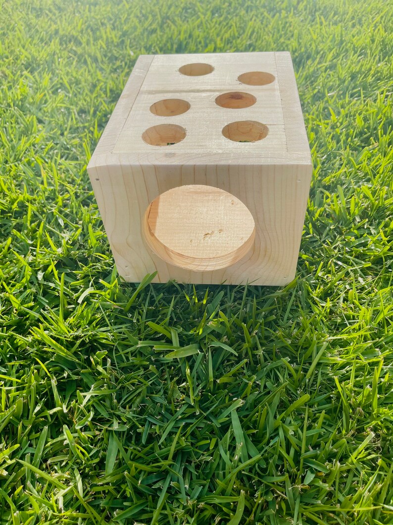 Kiln Dried Pine Peekaboo House for Guinea Pigs Chinchillas Etsy