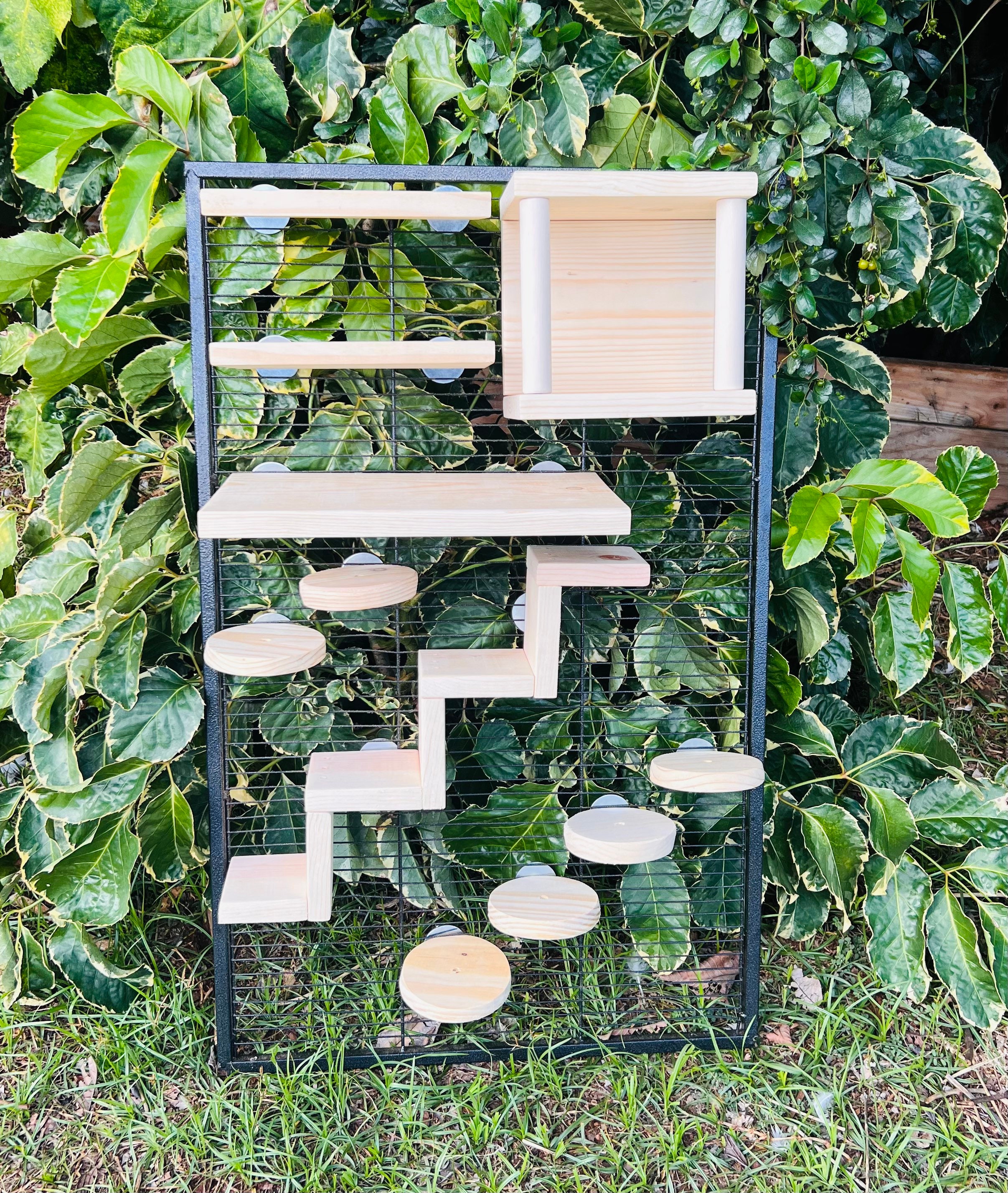 Crazy Critter 11 pc Kiln Dried Pine Chinchilla//Rat//Degu//Squirrel Cage Set up with Ledges Steps and Tunnel//Hideout