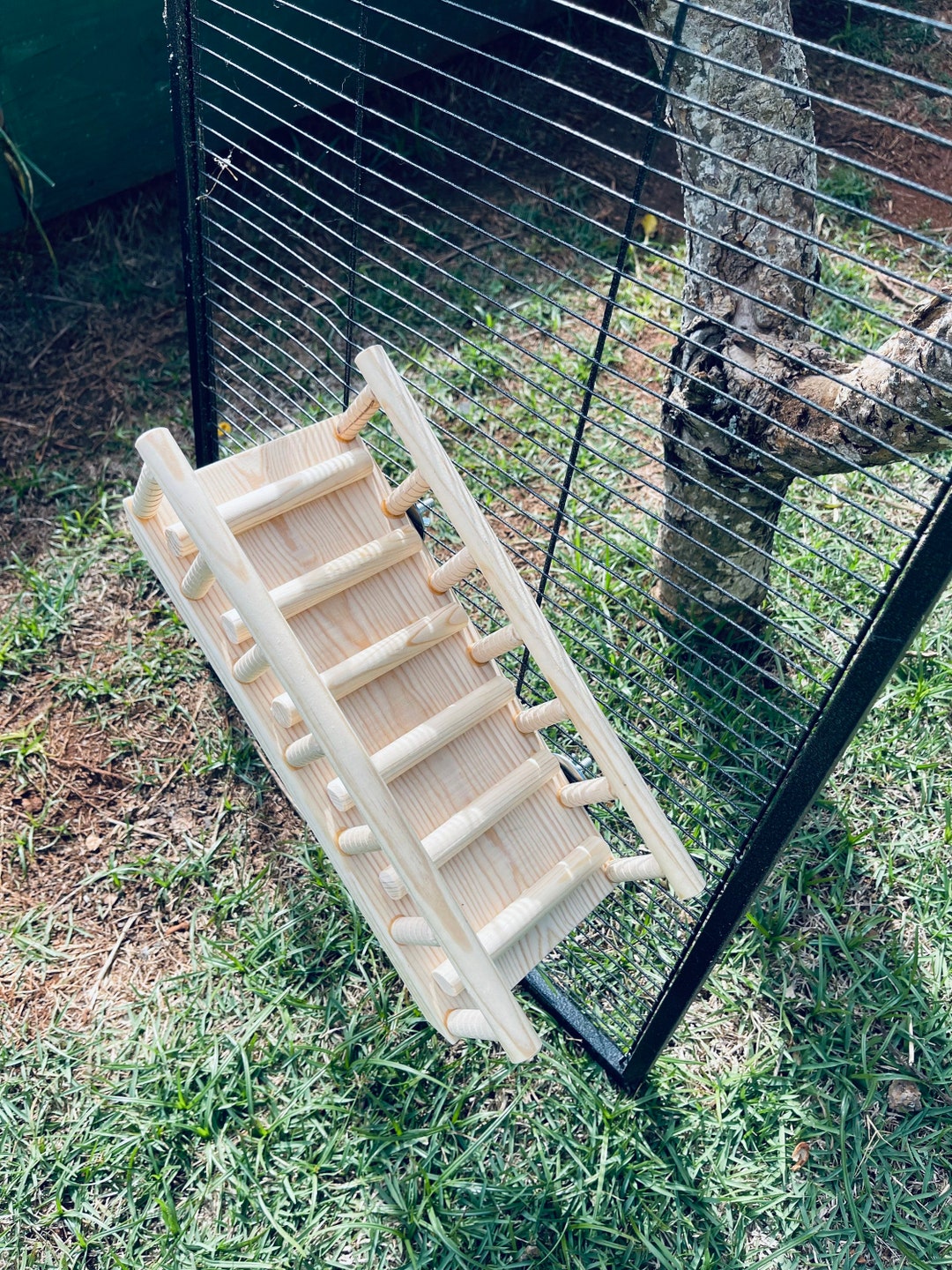 Large Kiln Dried Pine Ramp With Rails for Guinea Pigs, Chinchillas