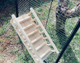 Large Kiln Dried Pine Ramp with Rails for Guinea Pigs, Chinchillas, Rats, Degu, Squirrels and other Critters. Multiple sizing.