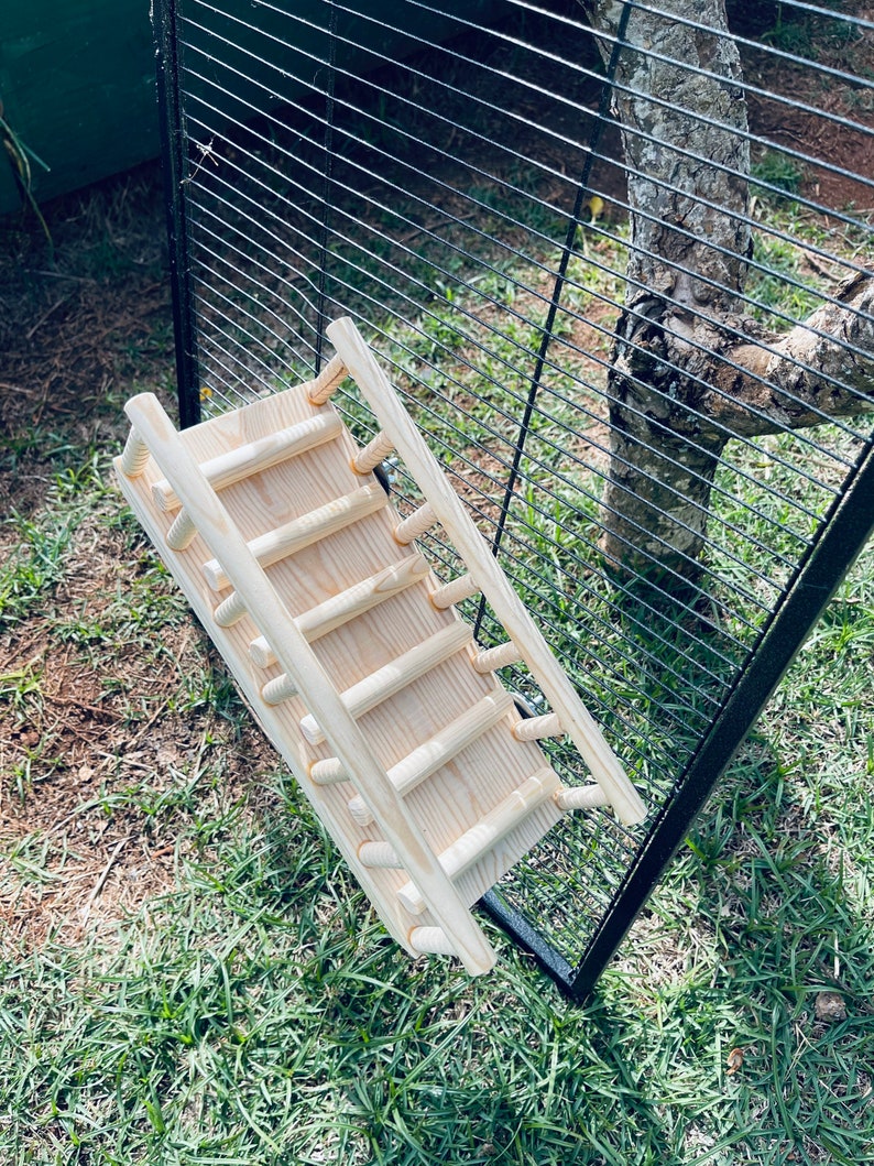 Pine Ramp Pine Ramp With Rails for Guinea Pigs, Chinchillas, Rats & Small Animals ...
