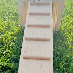 Kiln Dried Pine Wooden Ramp for Guinea Pigs, Birds, Chinchillas, Rats ...
