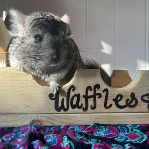 Puede incluir: Un chinchilla gris sentado en una cama de madera con la palabra "Waffles" tallada en el lateral. La cama está sobre una tela estampada de colores.