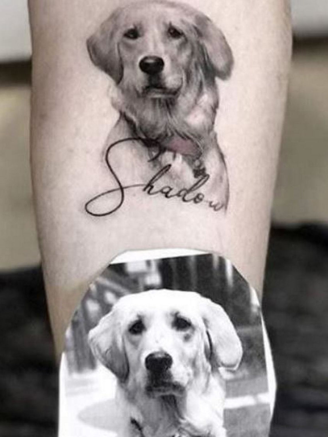 tattoo für hund