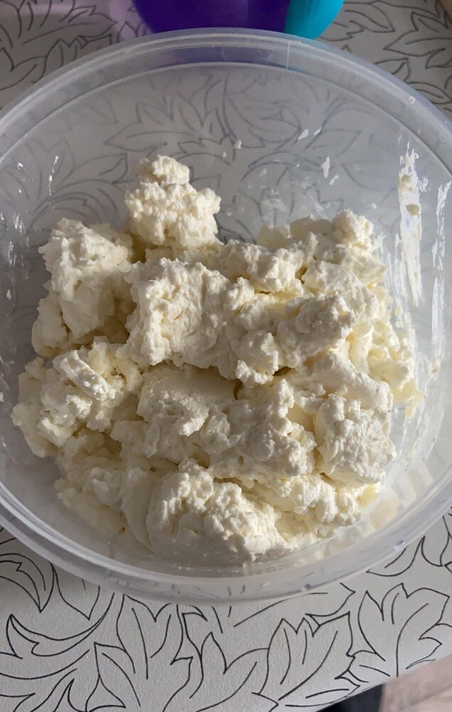Curd Cottage Cheese Starter Bacterial Starter Culture For Etsy