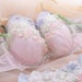 Lace Embroidery Bralette Bra and Panty Sets French Women Underwear Mesh Flower Comfort Push up Eyelash Sexy Lingerie, WOMEN sexy bra set 
