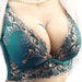 Women sexy bra wire embroidery push up adjustable cup deep-v bras sexy women bra 