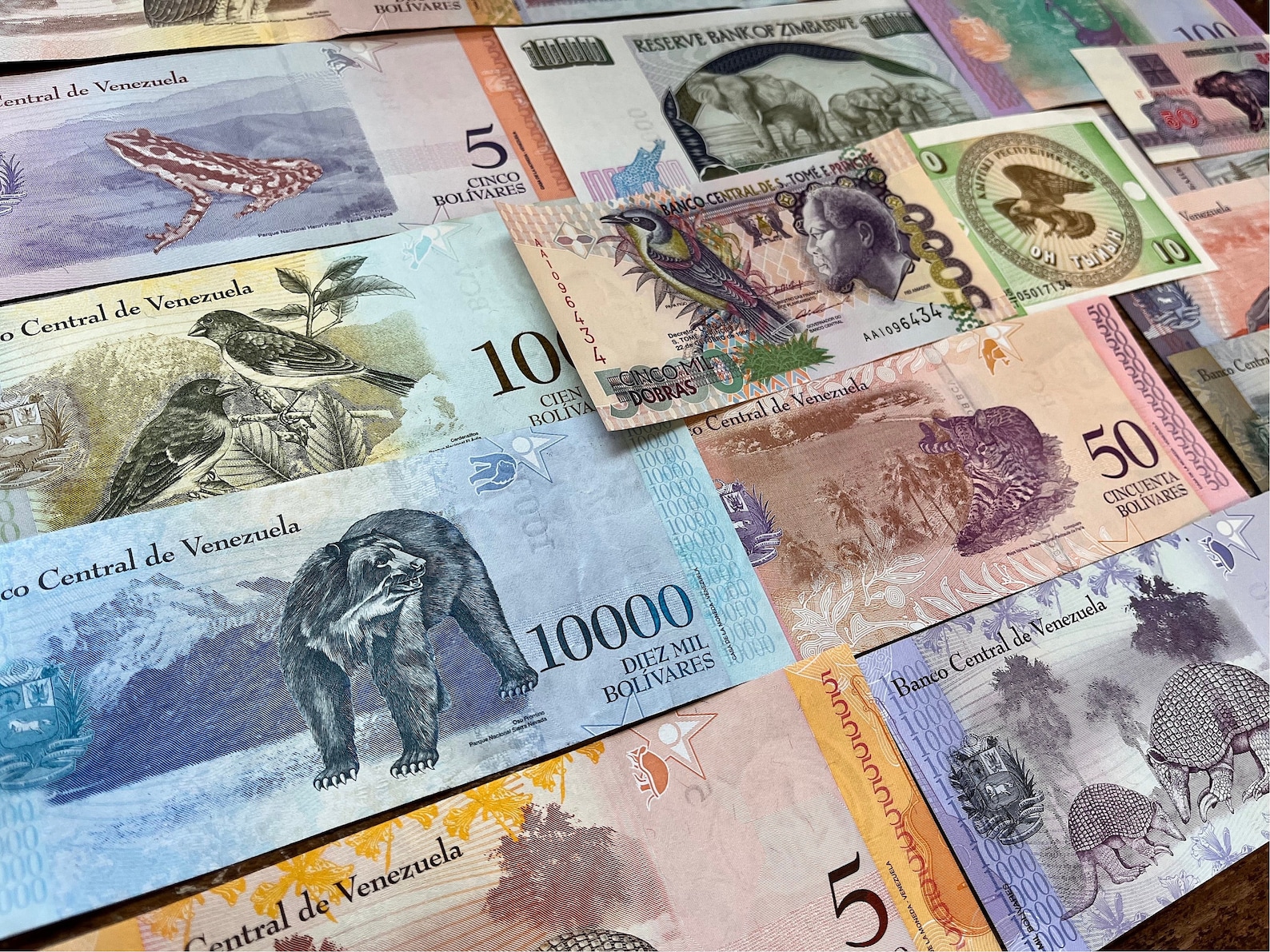 ANIMAL Themed World Banknotes—circulated, Collectible, Colorful, Unique ...