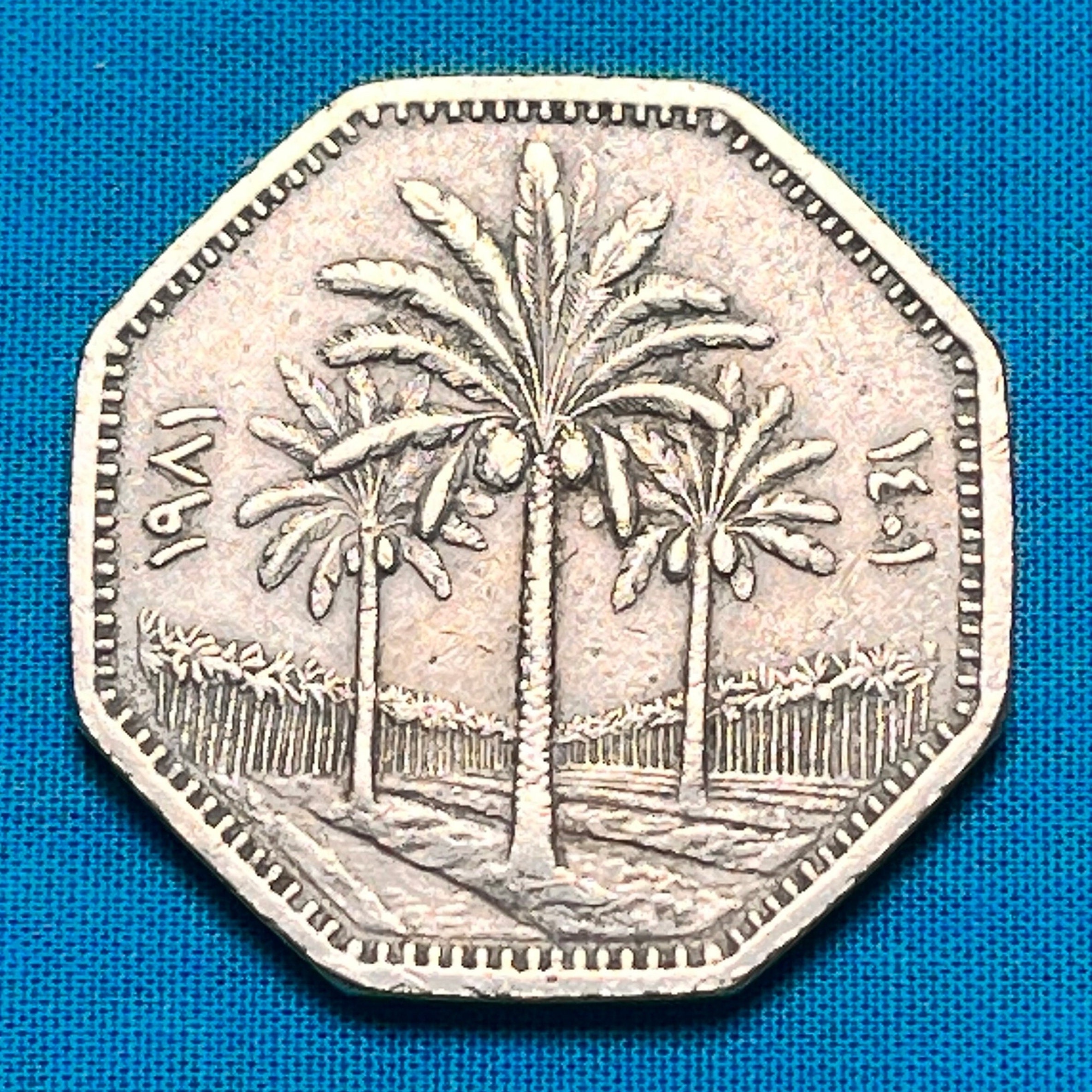SINGLE YEAR (1981) Issue Middle Eastern 1 Dinar Coin Featuring Three Palm  Trees of Peace (arecaceae)—low Mintage/shipping Included! - Etsy Singapore