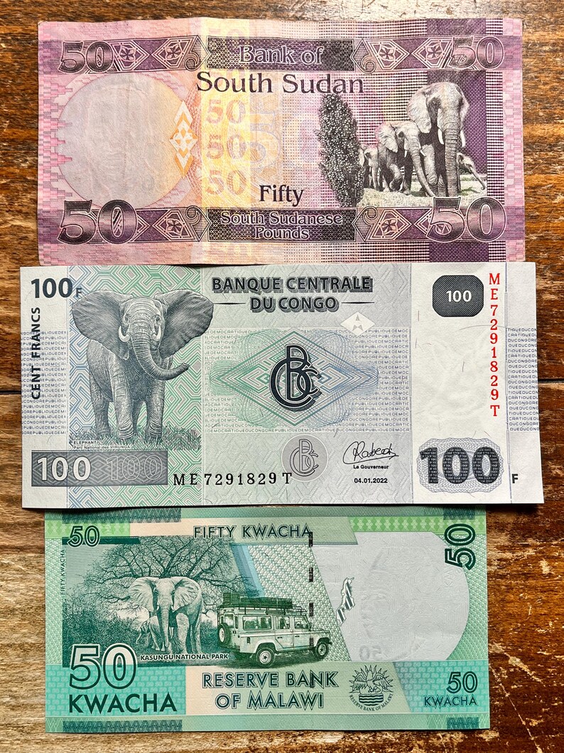 K&ouml;nnte beinhalten: Drei verschiedene Banknoten aus S&uuml;dsudan, Kongo und Malawi. Die s&uuml;dsudanische Banknote ist rosa und lila mit einem Bild eines Elefanten. Die kongolesische Banknote ist gr&uuml;n mit einem Bild eines Elefanten und dem Text "BANQUE CENTRALE DU CONGO". Die malawische Banknote ist gr&uuml;n mit einem Bild eines Elefanten und dem Text "FIFTY KWACHA".