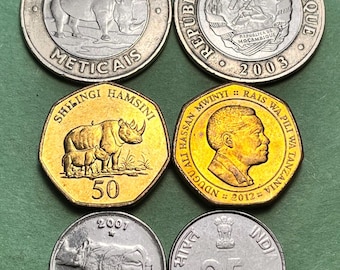 Rhinoceros Coin Trio in 3 Styles from 3 Countries (Mozambique, Tanzania, India)!—FREE Shipping!