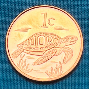 May include: A copper-colored coin with a sea turtle design and the inscription "1c" in the center.