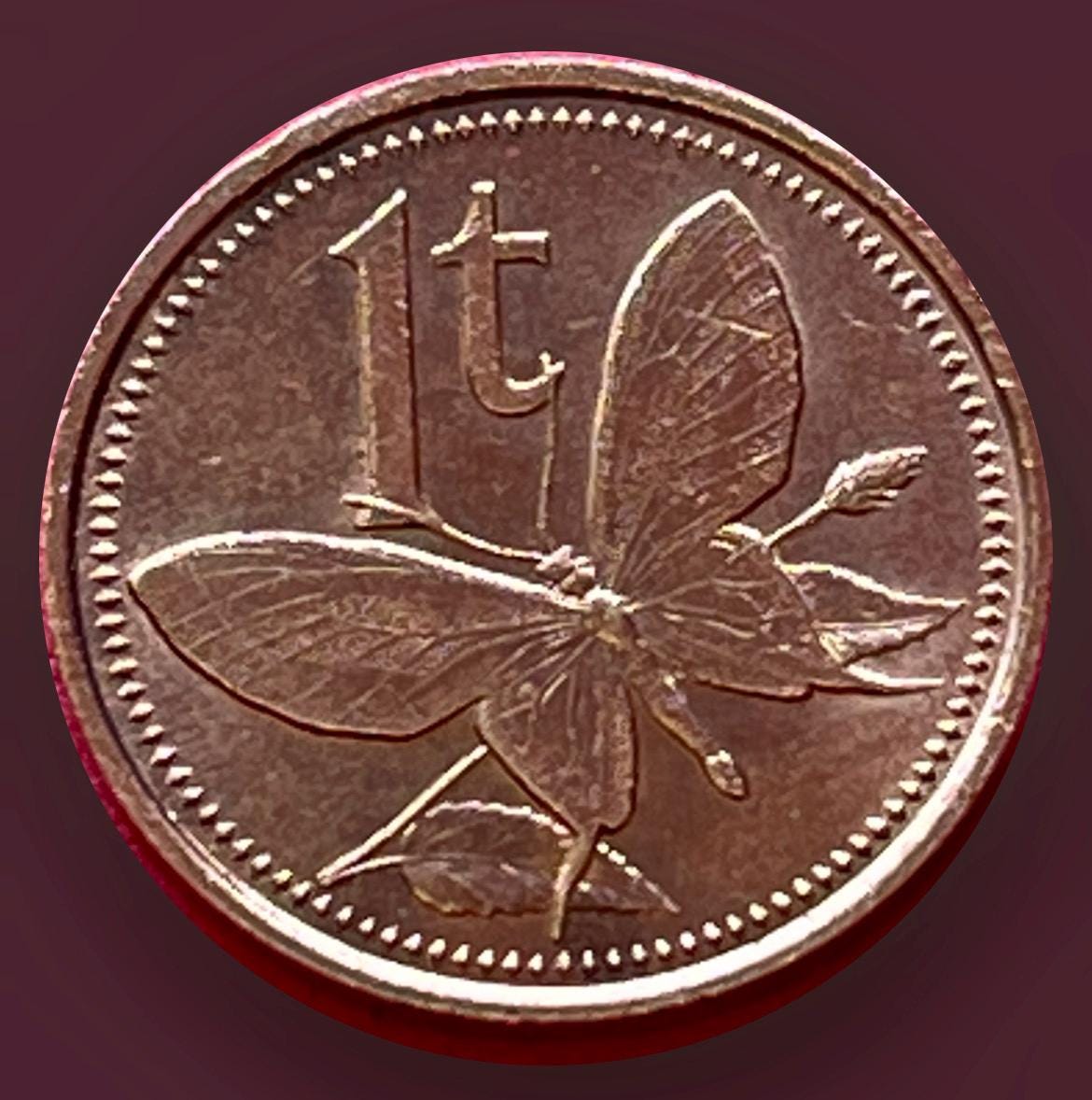 Papua New Guinea 1 Toea Bird-winged BUTTERFLY Coin (1978)—high Grade ...