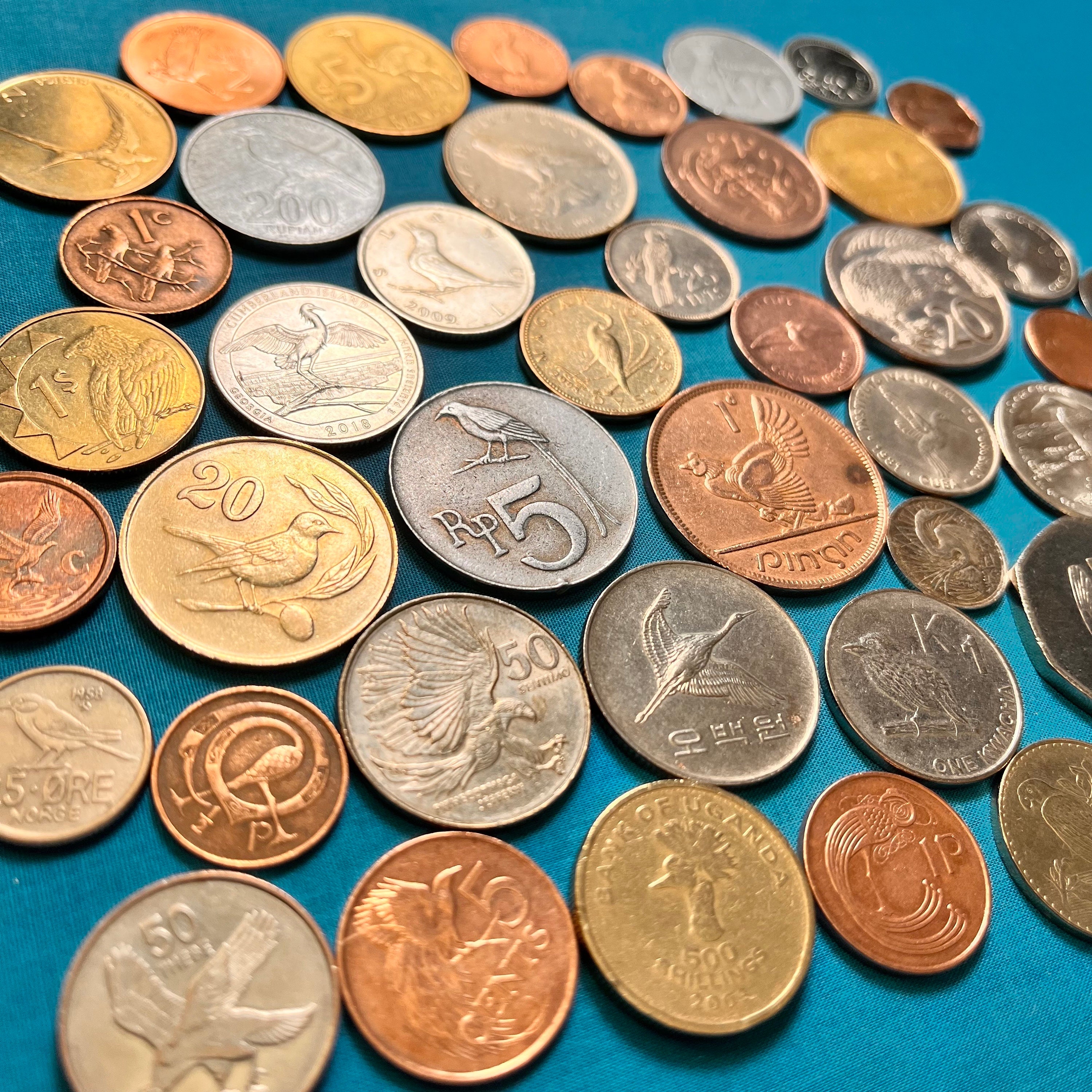 12 Unique BIRD Coin Sampler—limited Availability/shipping Included! - Etsy