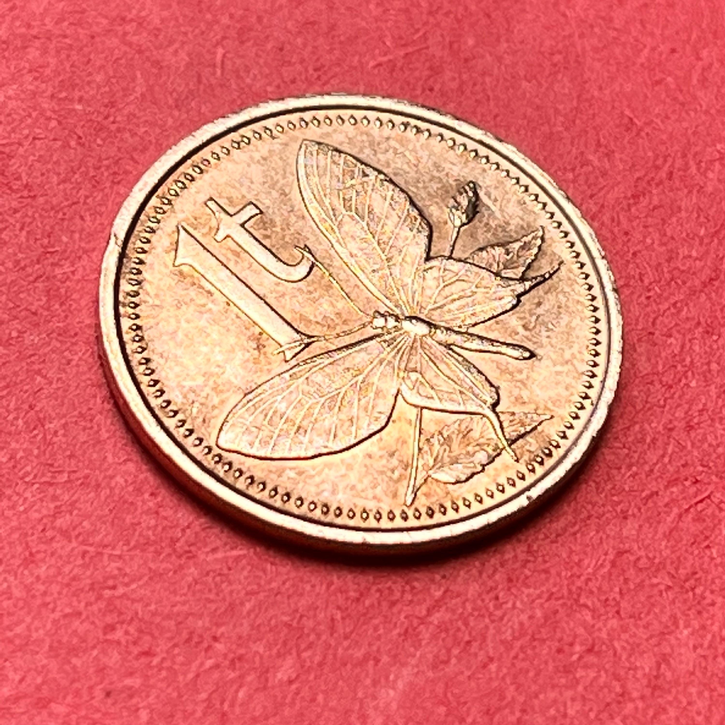 Papua New Guinea 1 Toea Bird-winged BUTTERFLY Coin (1978)—high Grade ...