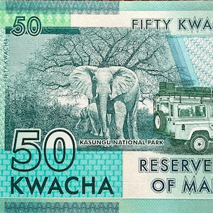 K&ouml;nnte beinhalten: Ein gr&uuml;ner und blauer Geldschein mit einer gro&szlig;en Zahl "50" darauf gedruckt. Der Text "FIFTY KWACHA" ist auf der rechten Seite des Scheins gedruckt. Der Schein zeigt ein Bild eines Elefanten in einer Waldlandschaft. Der Text "KASUNGU NATIONAL PARK" ist unter dem Elefanten gedruckt. Der Text "RESERVE OF MALAWI" ist in der unteren rechten Ecke des Scheins gedruckt.