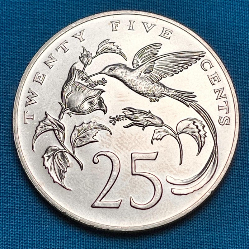 Hummingbird Coin - Etsy
