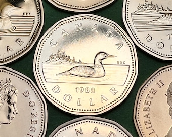 ONE Canadian PROOF Dollar “Loonie” Coin—Brilliant, UNCIRCULATED Condition/Free Shipping/Various Years and Styles!