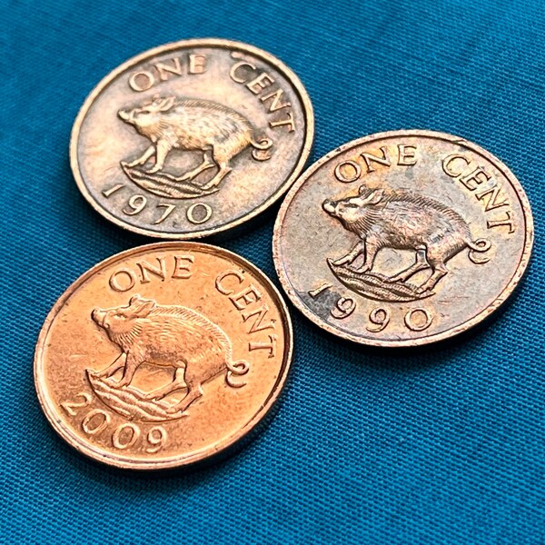 Bermuda Pig Tropical Coin Trio with Optional Tongan Pig Coin Add-On—Limited Availability/Shipping Included!