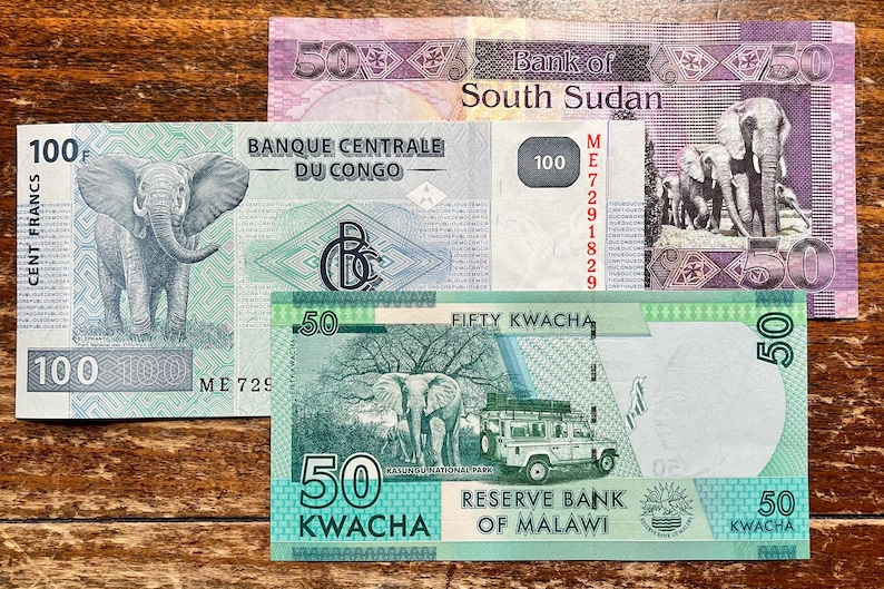 K&ouml;nnte beinhalten: Drei verschiedene Papierbanknoten mit Elefanten. Die erste Banknote ist aus der Zentralafrikanischen Republik und ist ein 100-Franc-Schein. Die zweite Banknote ist aus S&uuml;dsudan und ist ein 50-Pfund-Schein. Die dritte Banknote ist aus Malawi und ist ein 50-Kwacha-Schein.
