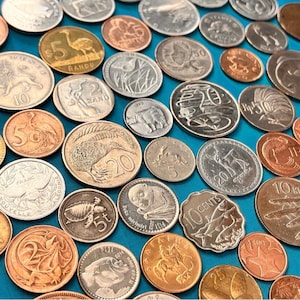 25 Unique ANIMAL-Themed Coins in a Pouch (CHOOSE Your Color)!