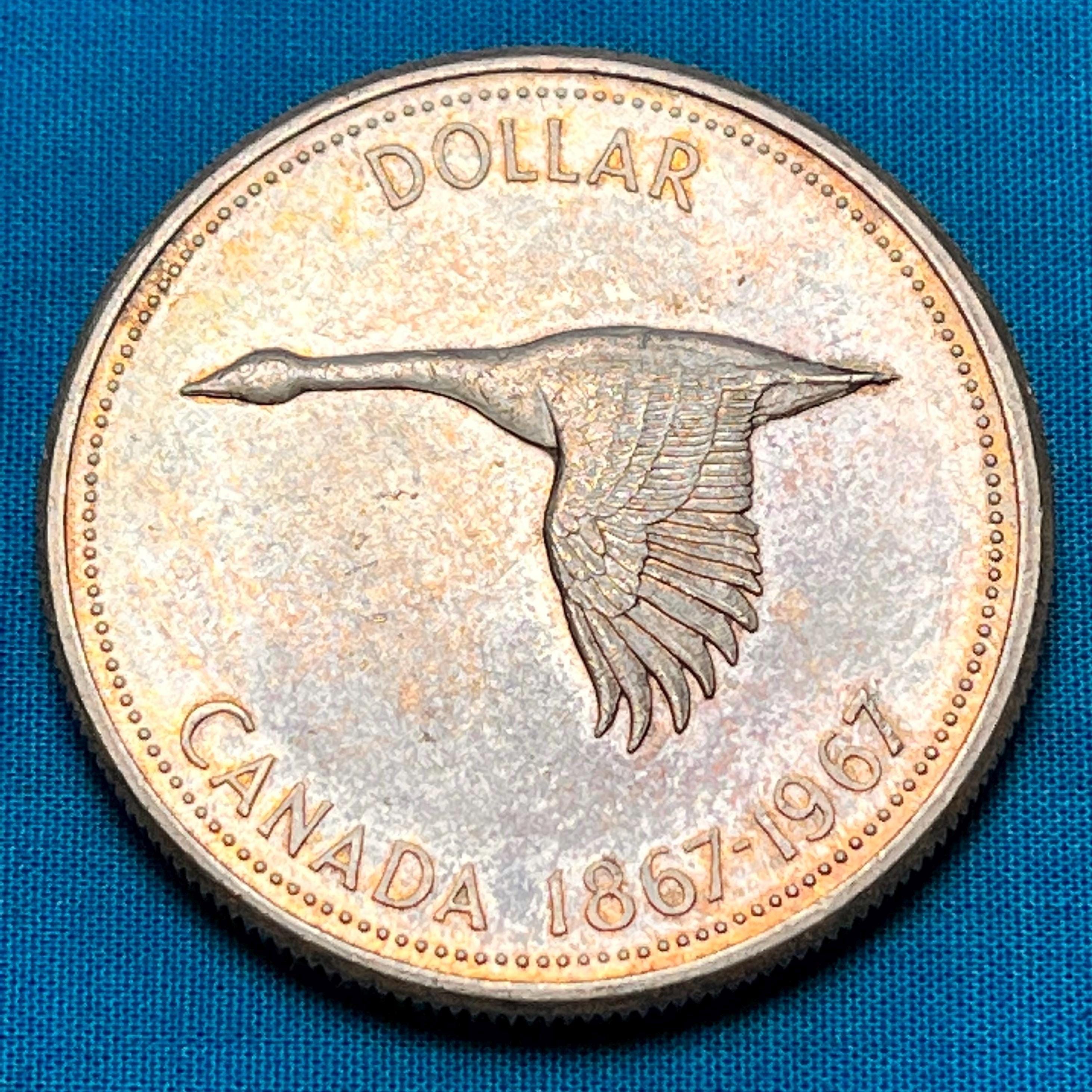 SILVER CANADIAN Centennial (1867-1967) COMMEMORATIVE Large Dollar