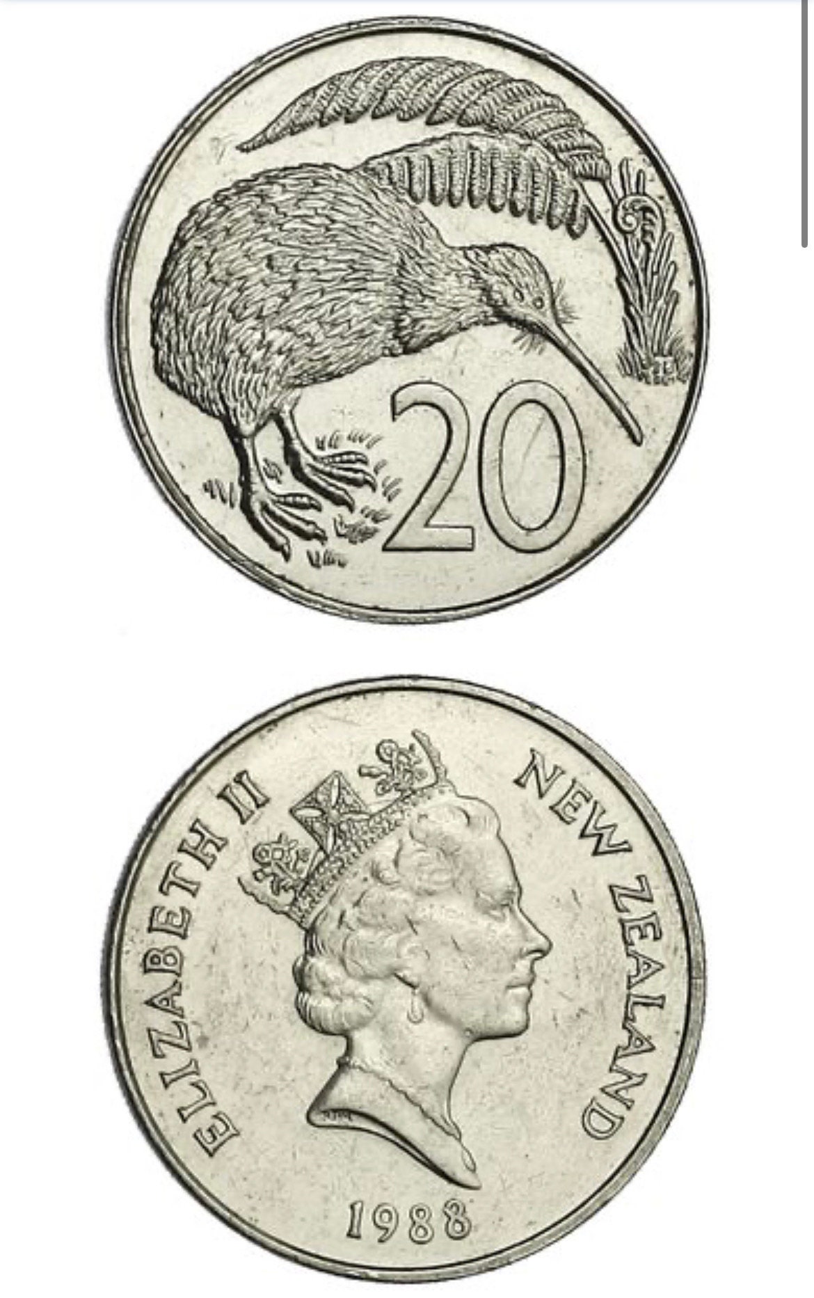 ニュージーランドの珍しい大型飛べない鳥 KIWI コイン 7 枚 - 1 枚在庫