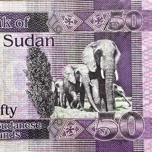 K&ouml;nnte beinhalten: Eine Nahaufnahme eines 50-Sudan-Pfund-Banknotens mit einer Gruppe von Elefanten in einem lila und grauen Farbschema. Der Text "Bank of Sudan" und "Fifty Sudanese Pounds" ist auf dem Schein sichtbar.