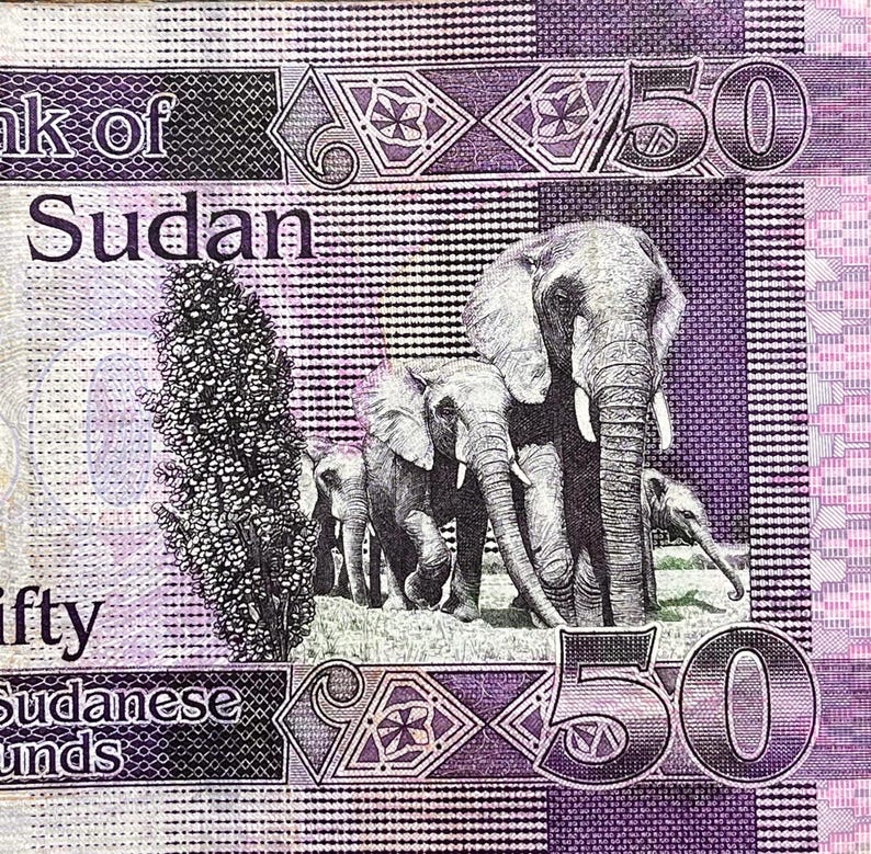 K&ouml;nnte beinhalten: Eine Nahaufnahme eines 50-Sudan-Pfund-Banknotens mit einer Gruppe von Elefanten in einem lila und grauen Farbschema. Der Text "Bank of Sudan" und "Fifty Sudanese Pounds" ist auf dem Schein sichtbar.