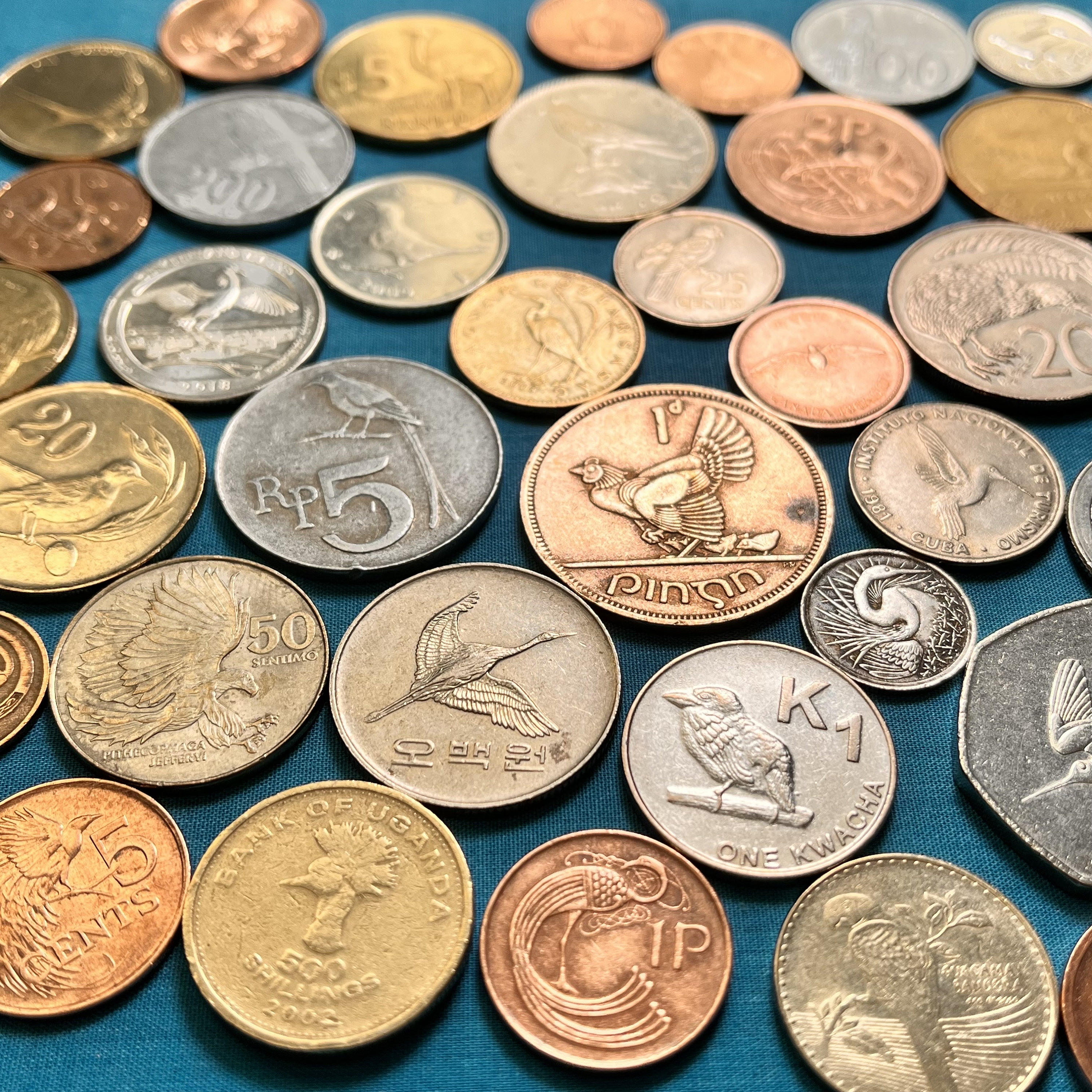 12 Unique BIRD Coin Sampler—limited Availability/shipping Included! - Etsy