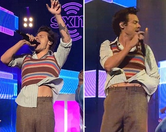 Harry Styles Sweater Handmade Sweater 