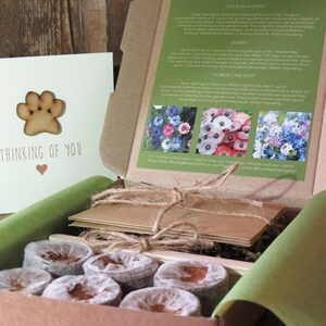 Op de afbeelding: Een kartonnen geschenkdoos met zes ronde kokosvezel tabletten, een stapel bruine papieren zaadzakjes vastgebonden met touw, en een instructiekaart met de titel Thinking of You Grow Happy Memories. Een bijpassende kaart met een houten pootafdruk is inbegrepen.