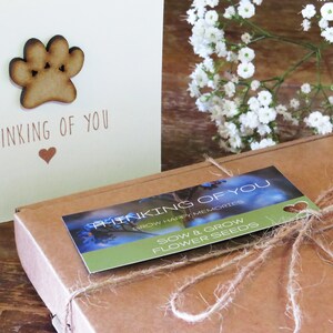 Pet Sympathy Gift Box, Dog Loss Gifts, Cat Loss Gifts, Pet Memorial Gifts, Pet Loss Gifts, Thinking of You Gift, Pet Memorial Seed Gift Box afbeelding 3